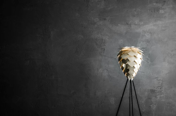2096_Conia_mini_brushed_brass_raw_wall_environment.jpg