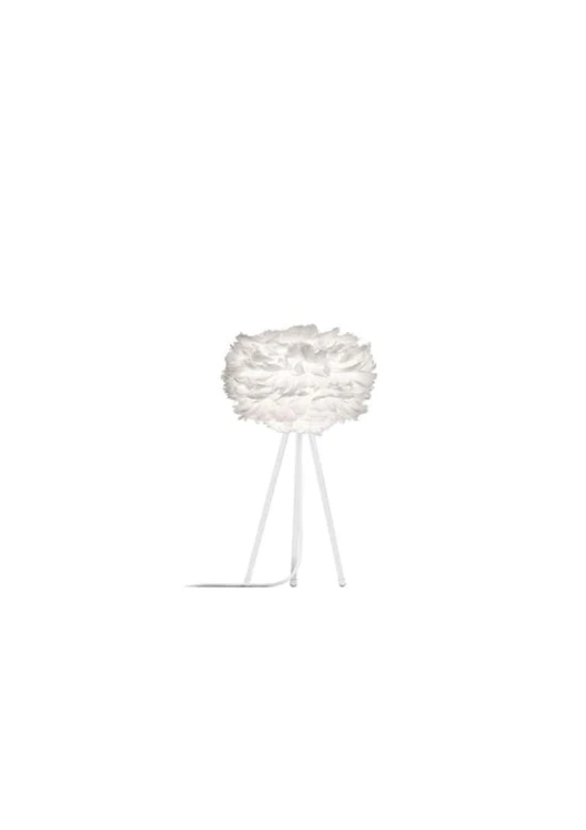 VITA_02011+04023.jpg